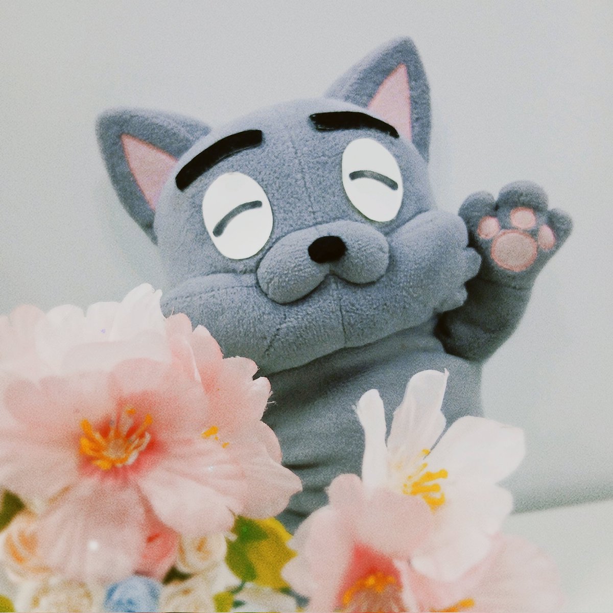 ピア21【公式】🎈 tweet media