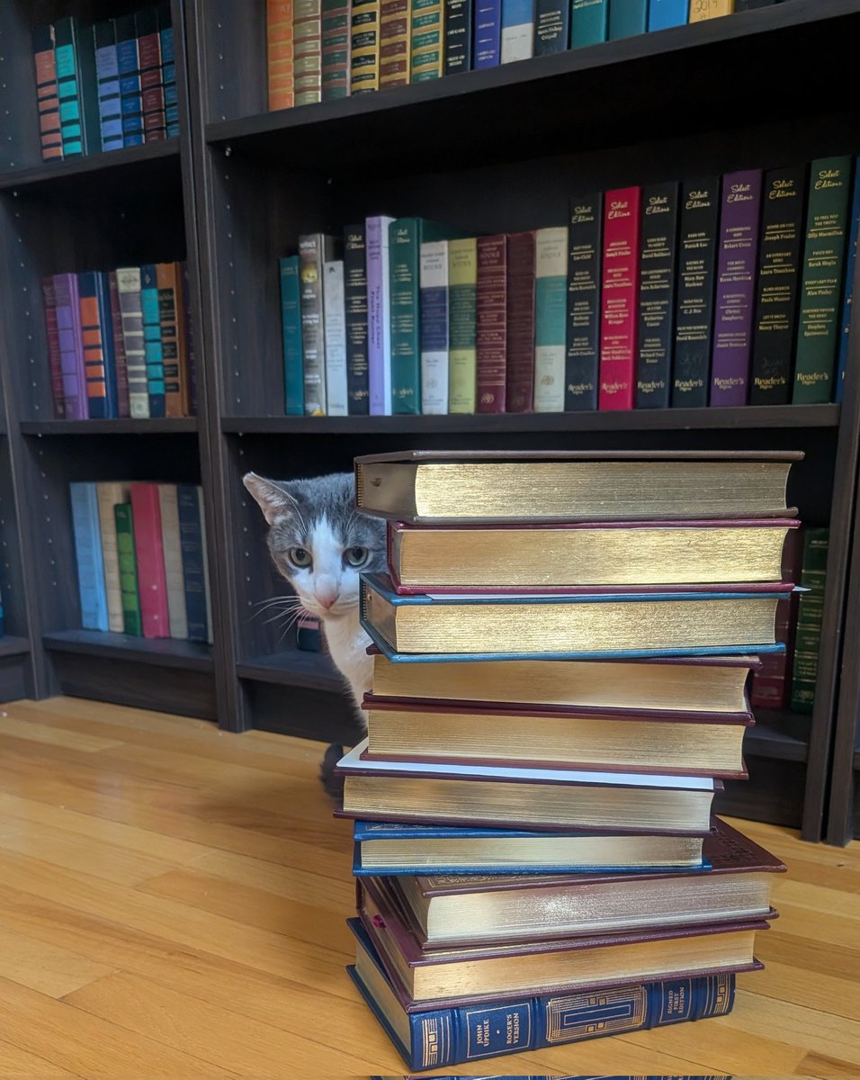 DJ Tenacious Library 🧬🔬 tweet media