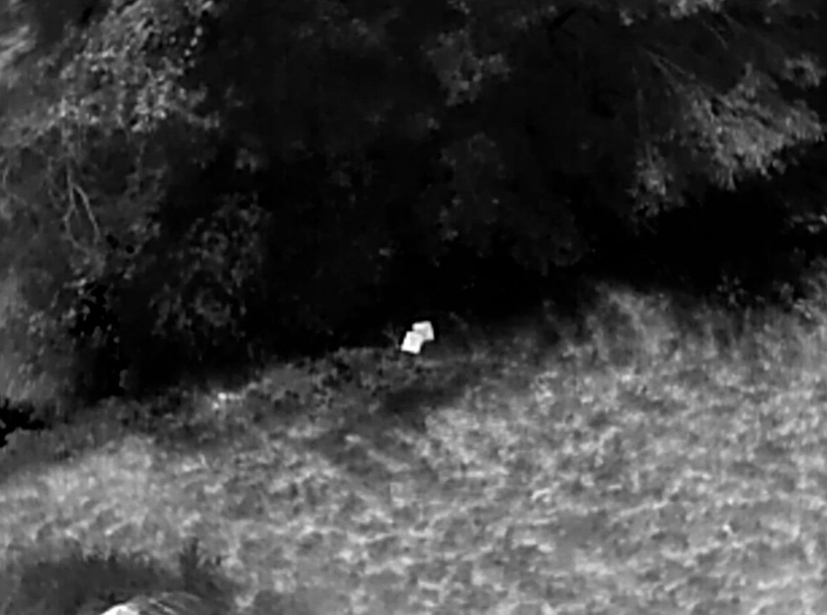 Scott 🚀🇺🇸 tweet media