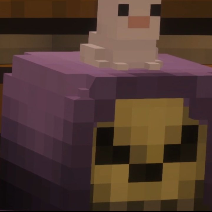 ✩ val ; 🌱 tweet media