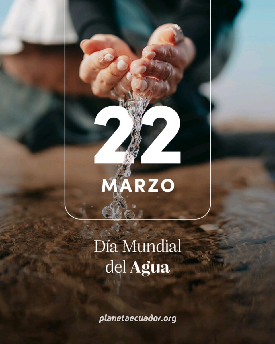 planetaecuador_'s tweet photo. Hoy, en el Día Mundial del Agua, recordamos que cada gota cuenta y cada acción suma.

En PlanetaEcuador, trabajamos por la conservación de nuestros recursos hídricos. 

Proteger el agua es proteger el planeta. 💧🌎

#WorldWaterDay #WaterIsLife #Sustainability #PlanetaEcuador 🌿 https://t.co/9jHPJDyRL0
