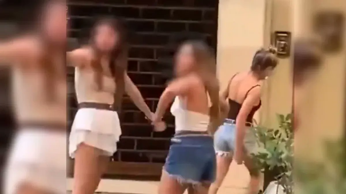 MDZ Online tweet media