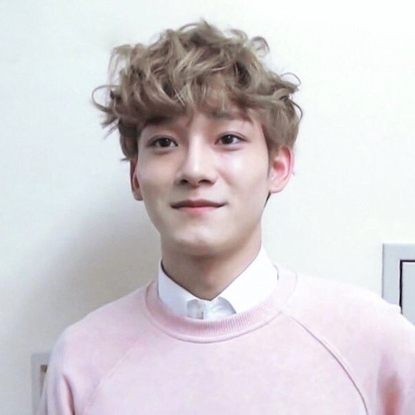 kim jongdae archive tweet media