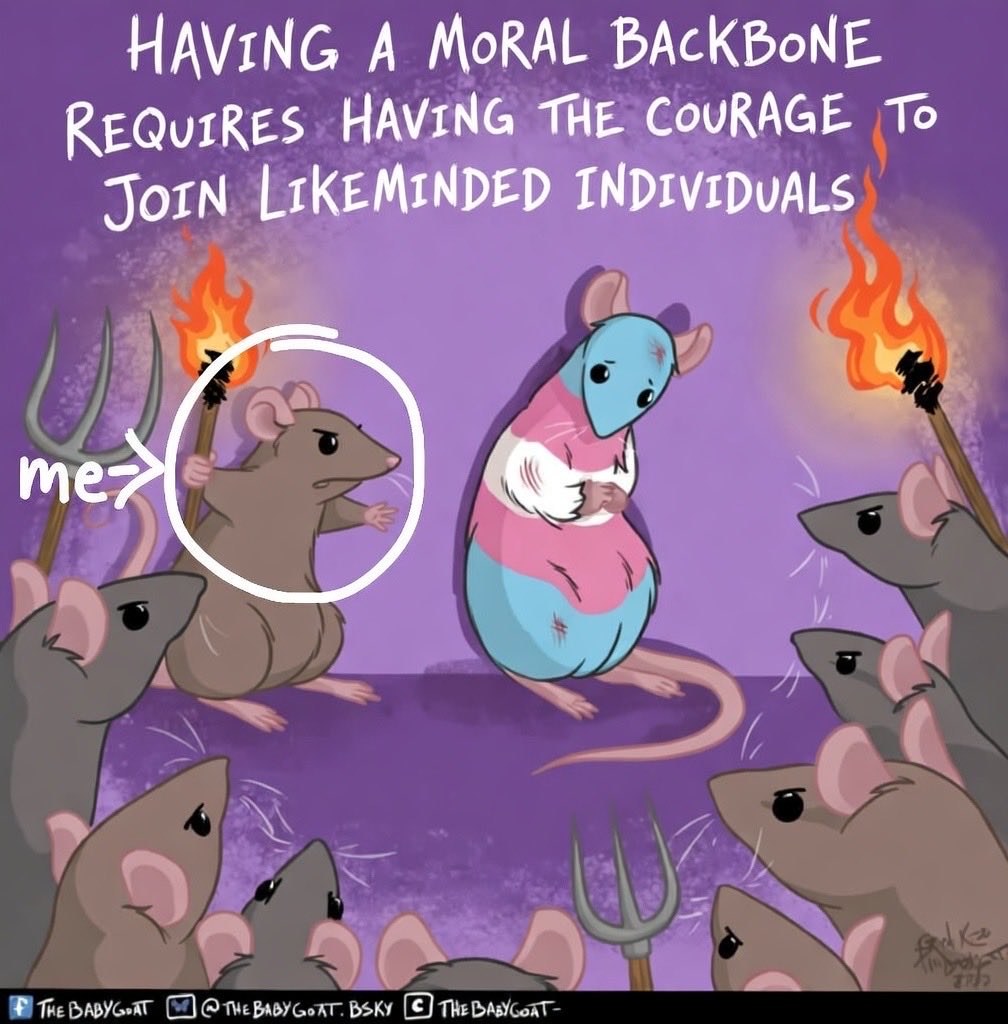 HowlingTrad tweet media