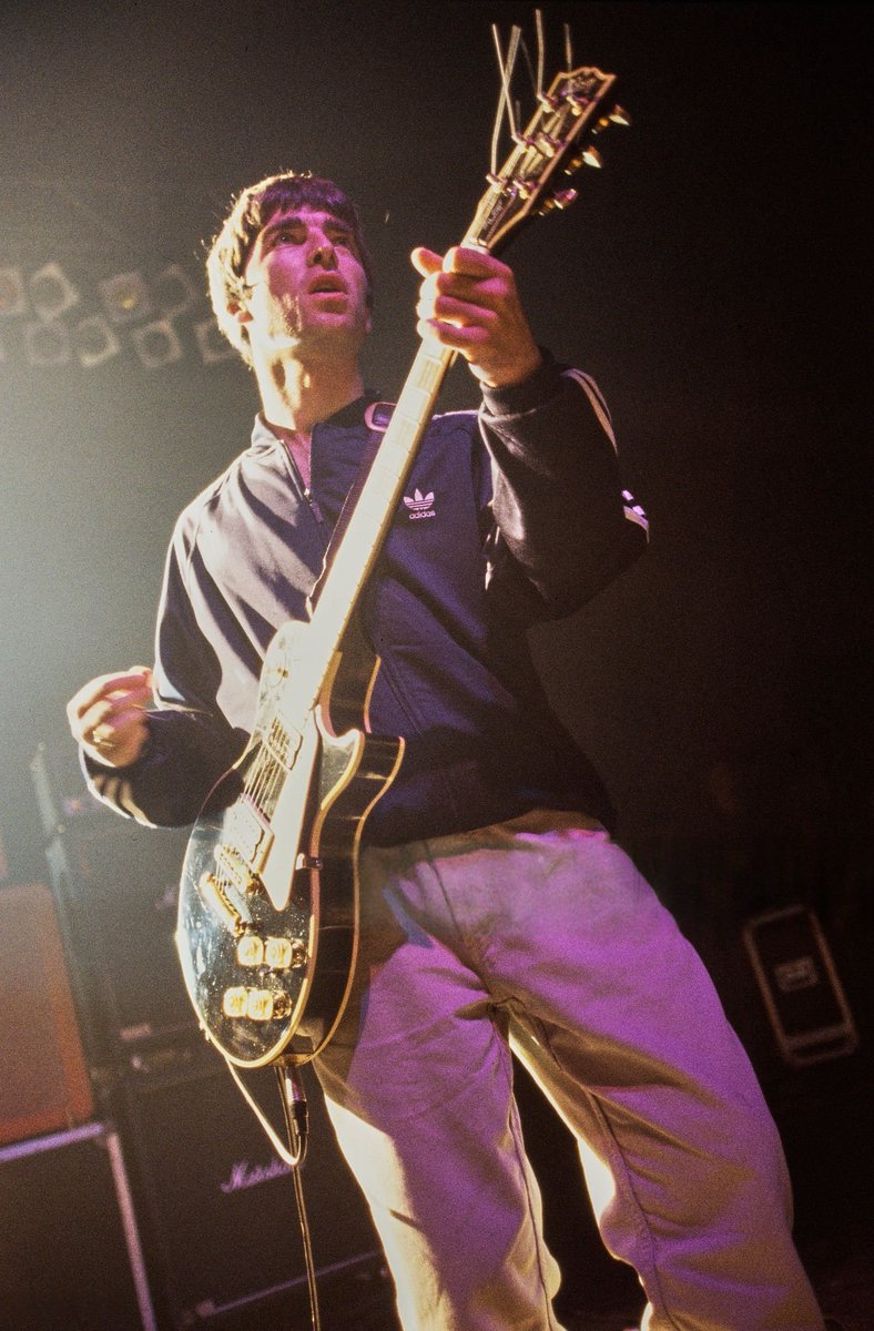 hari saw oasis tweet media