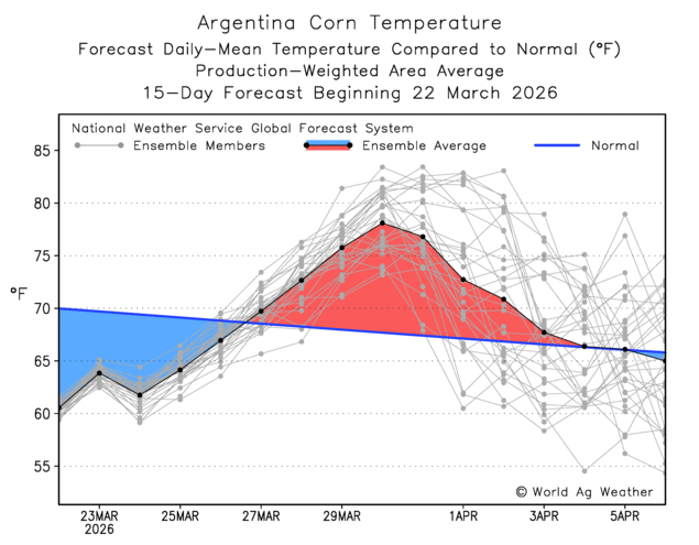 El Oráculo de Trenque Lauquen tweet media