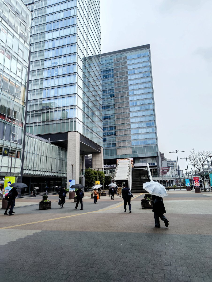 プリン tweet media