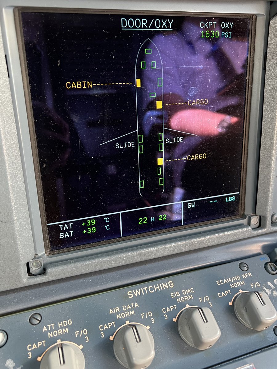 ⊂(； ´ᗣ`;)っ …あっつ…アリゾナ暑っ…
外気温39℃…まだ3月だよね…？？