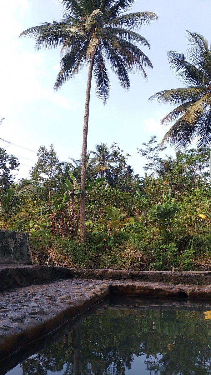 Bæprodhite tweet media