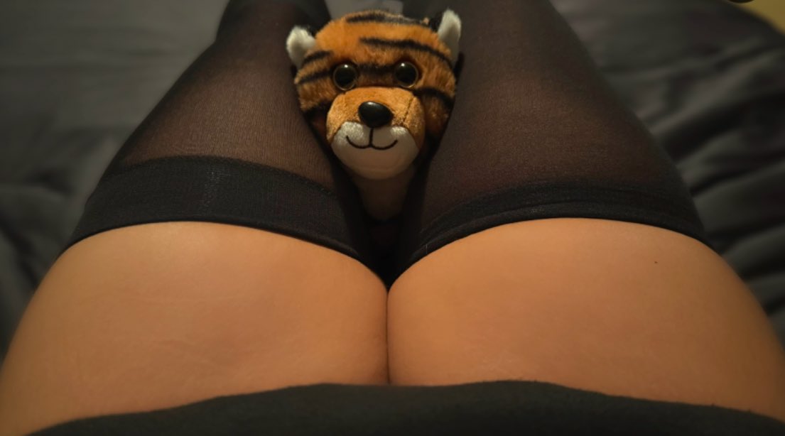 Taiga Torayami 🐯⛓️ tweet media