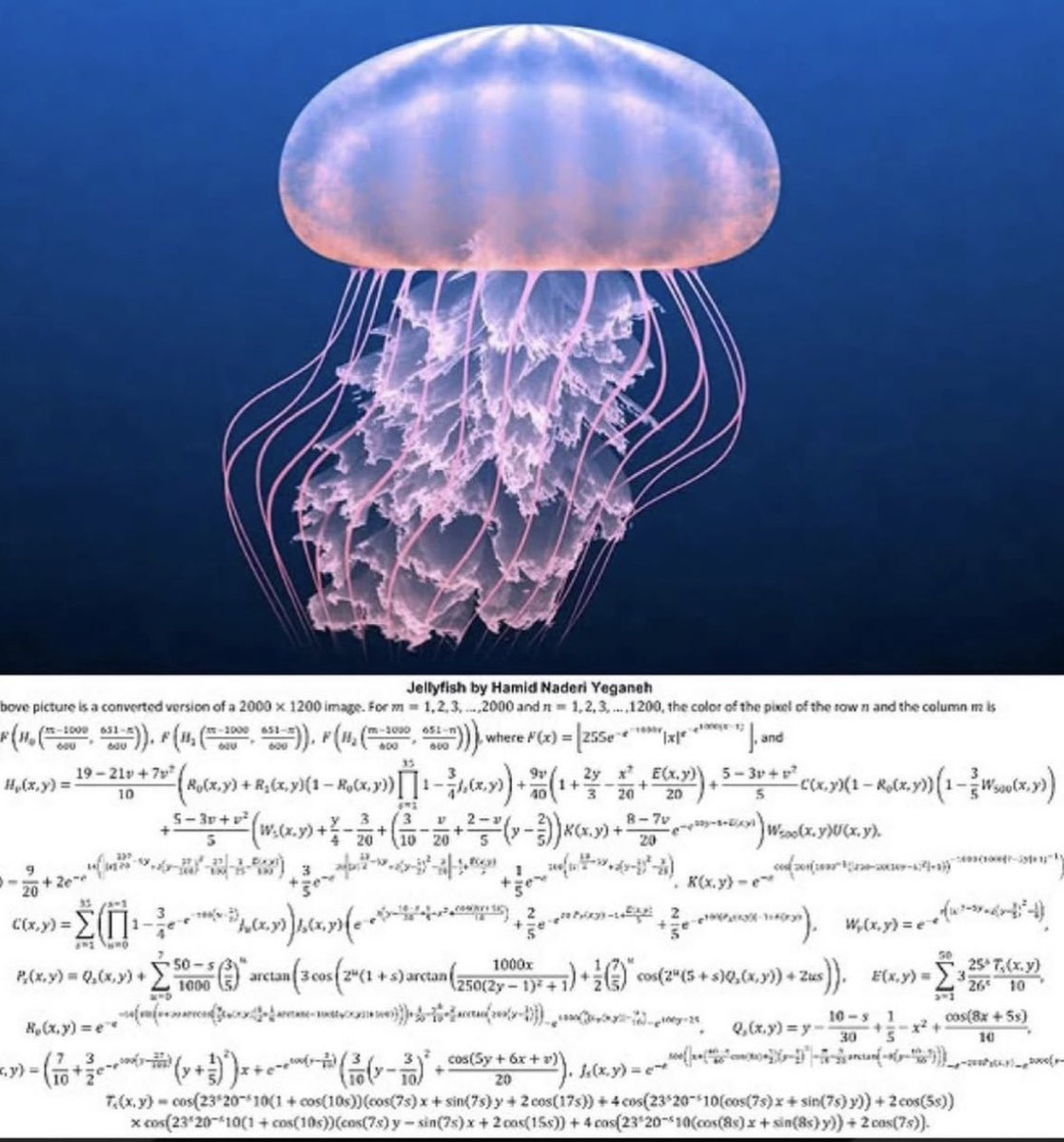 folkative tweet media