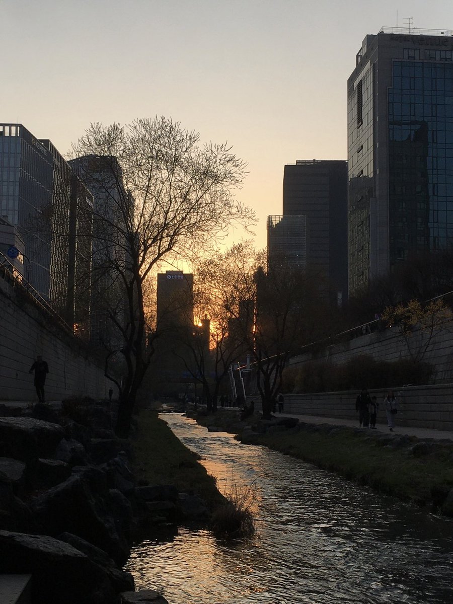 🐈‍⬛ tweet media