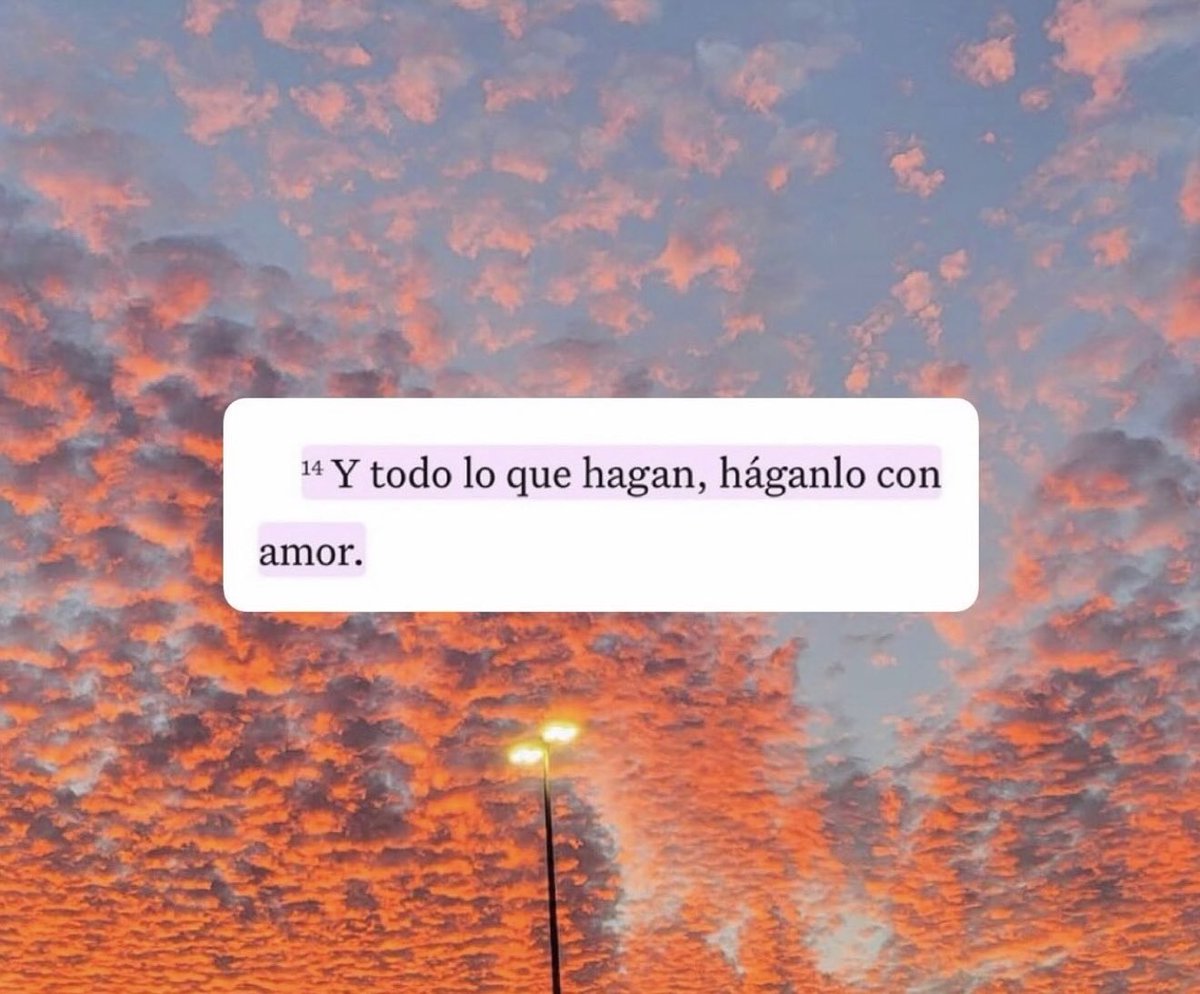 Gonzalo ▵ Brizuela tweet media