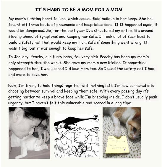 AD🌻💛🐱 tweet media