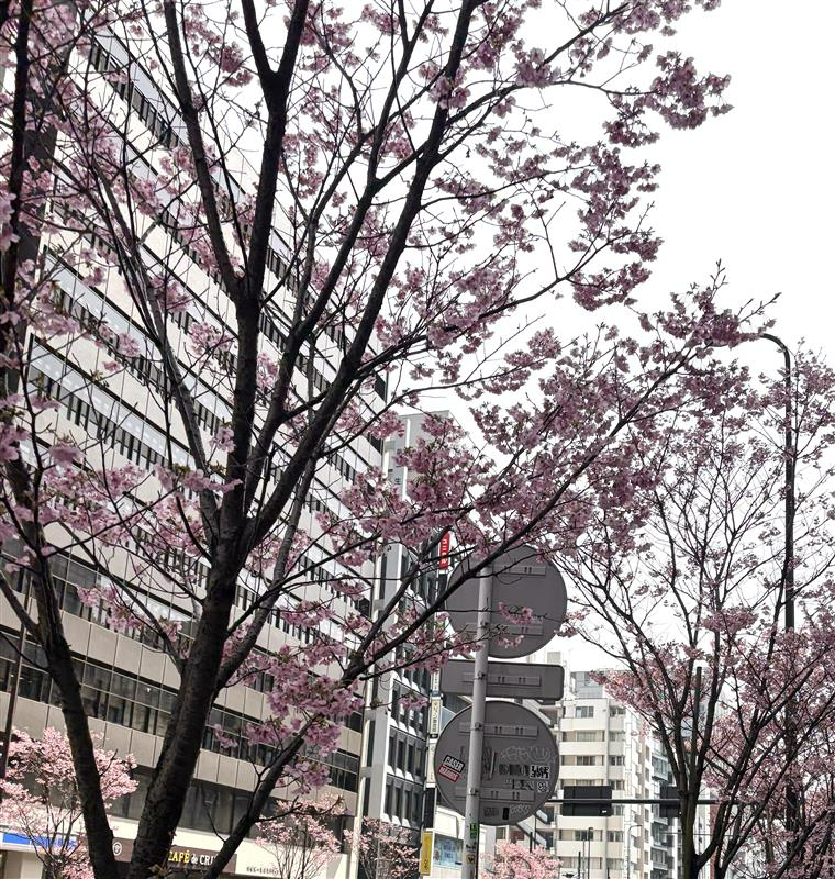 日清紡 / Nisshinbo tweet media