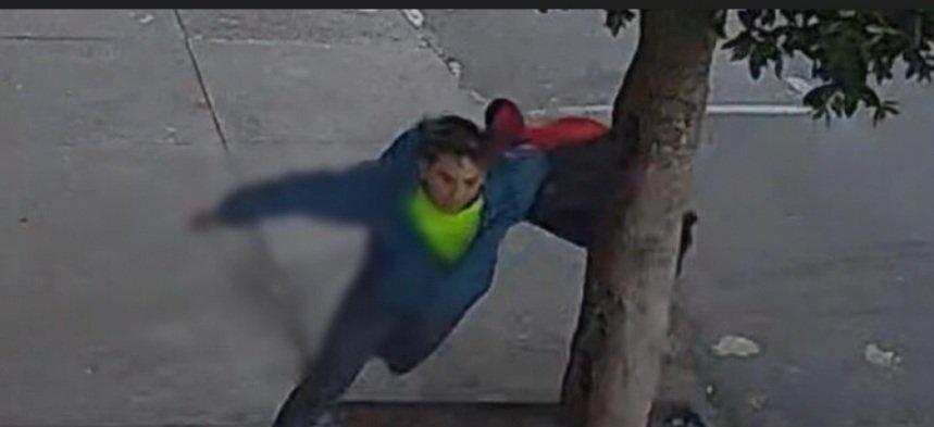 Udechilelamasfiel tweet media