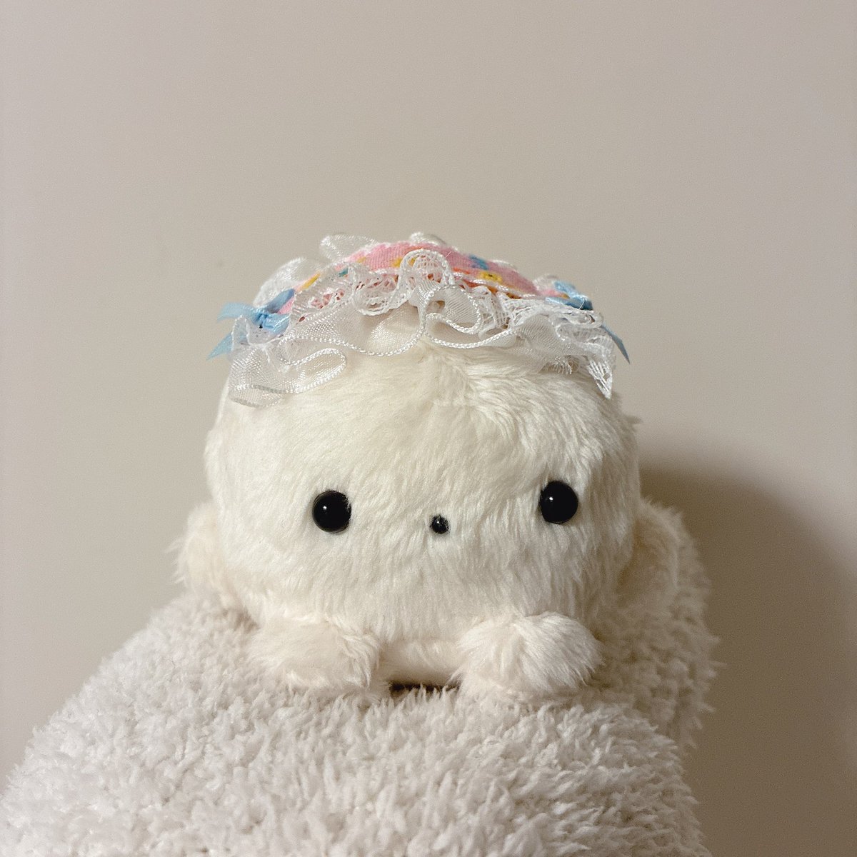 ちいも。 tweet media