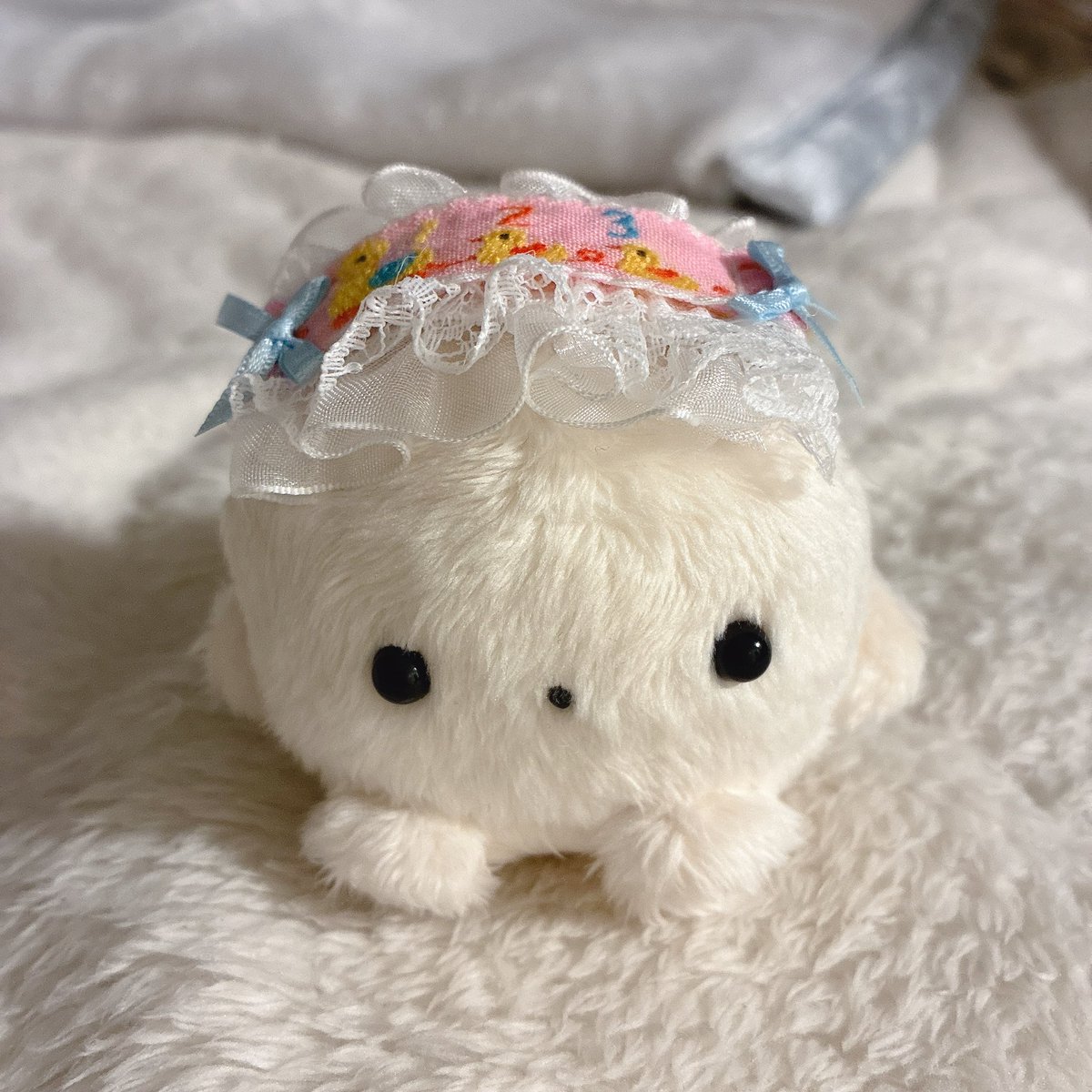 ちいも。 tweet media