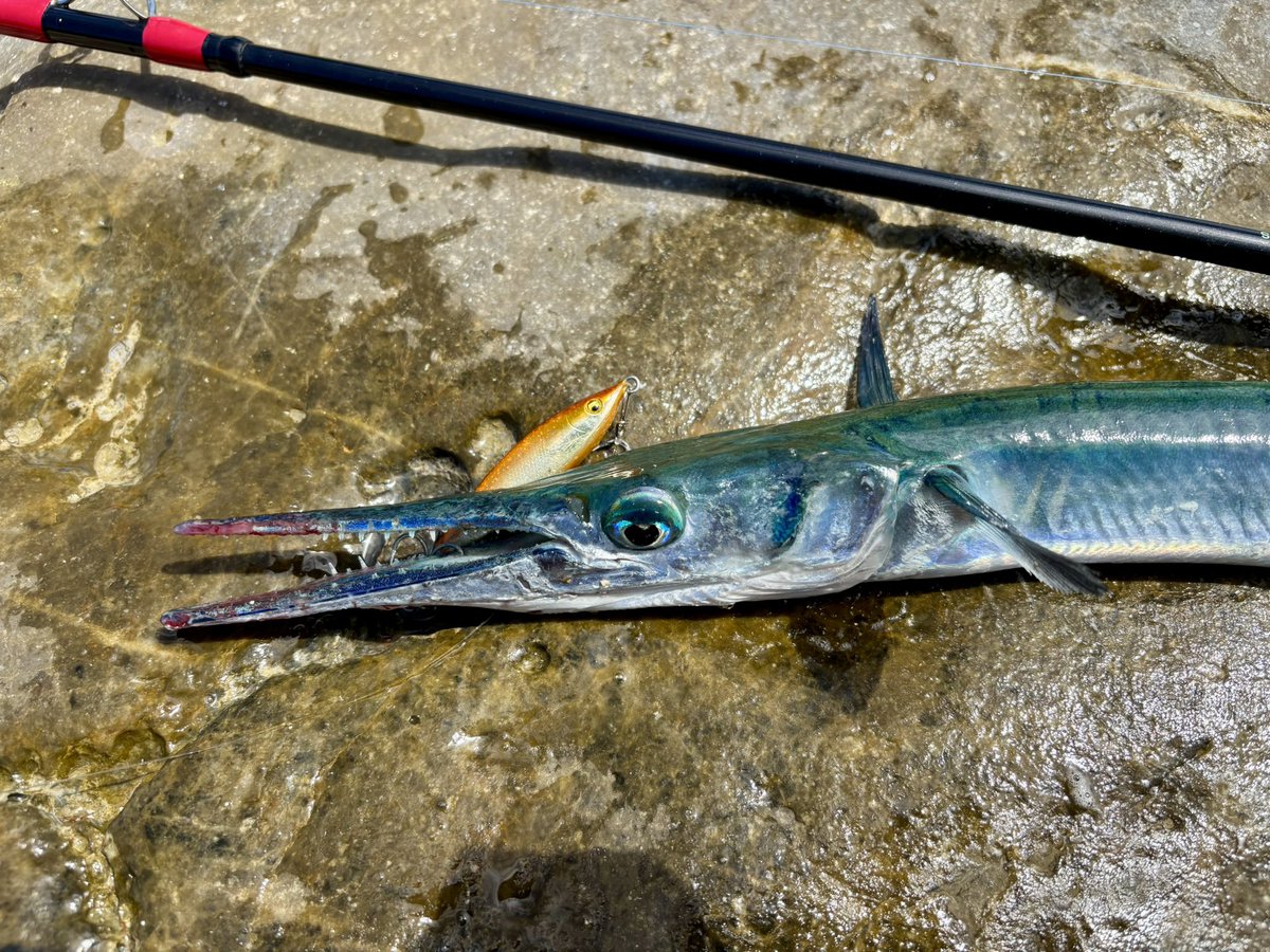 うっちー tweet media