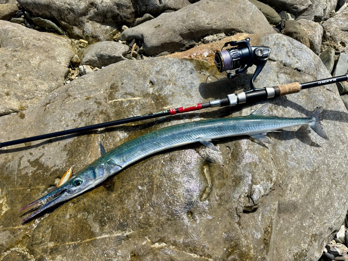 うっちー tweet media