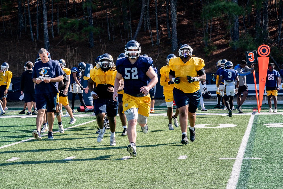 Reinhardt Football tweet media