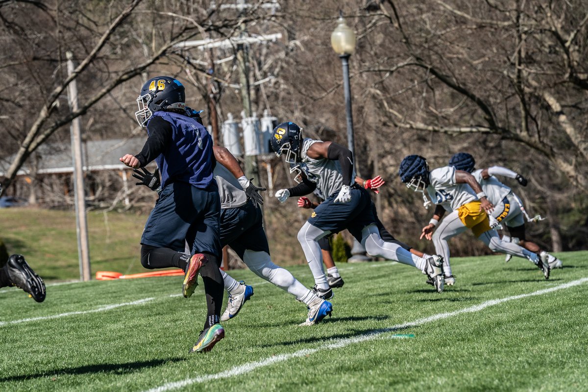 Reinhardt Football tweet media