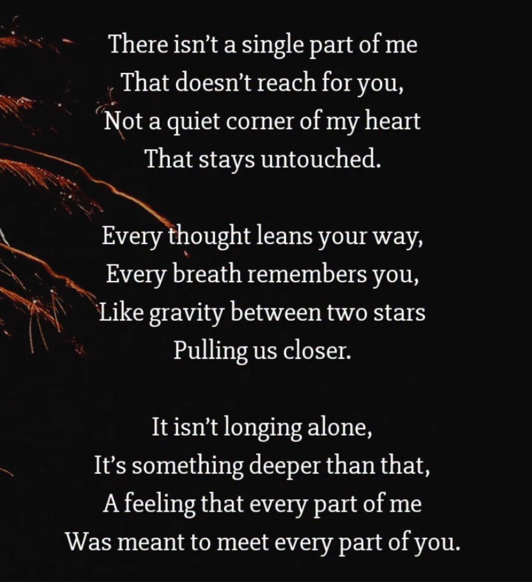 Jameson Leoni tweet media