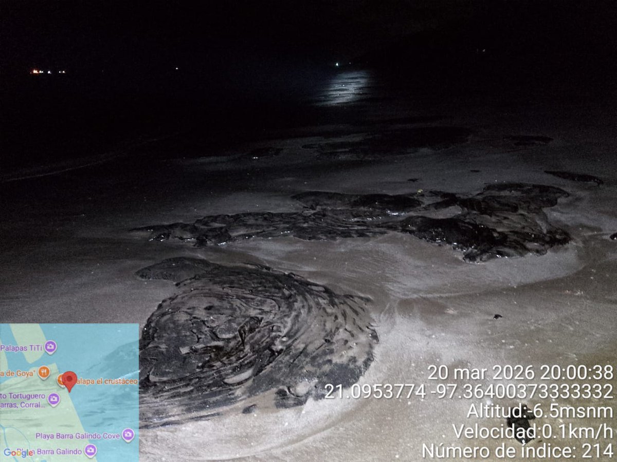 Animal Político tweet media