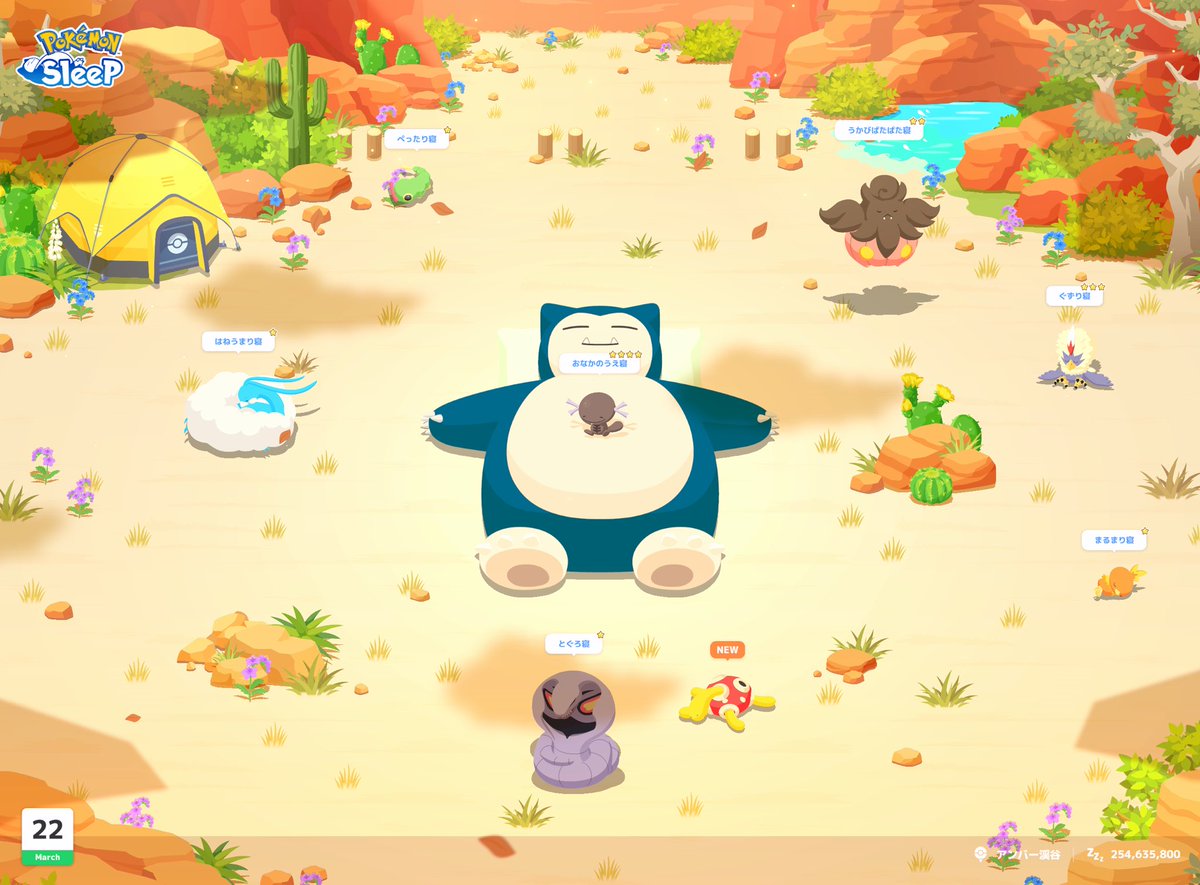 ごまかめ。 tweet media