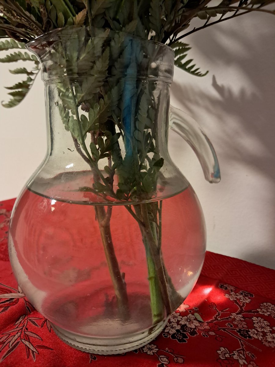 La mejor versión de mi tweet media