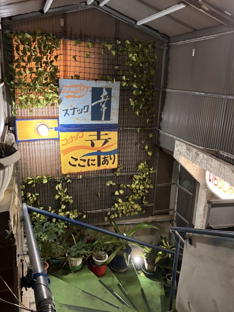 ロン毛愛好家 tweet media