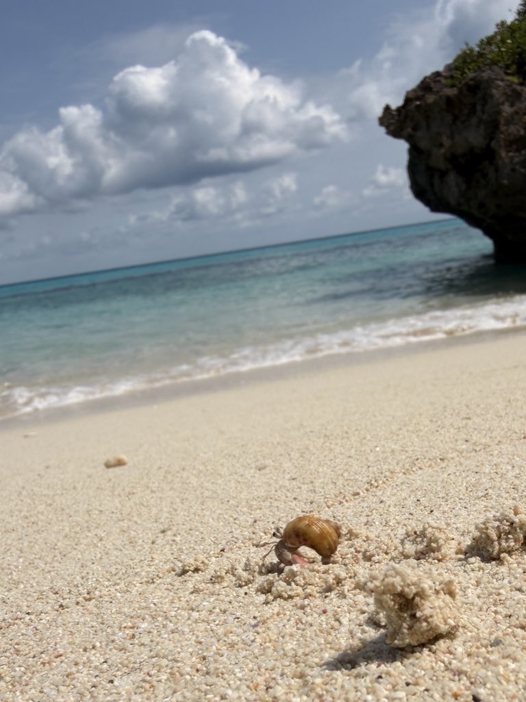 ロン毛愛好家 tweet media