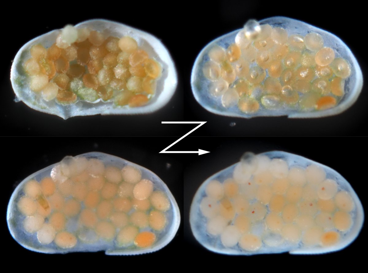 Keiichi Kakui tweet media