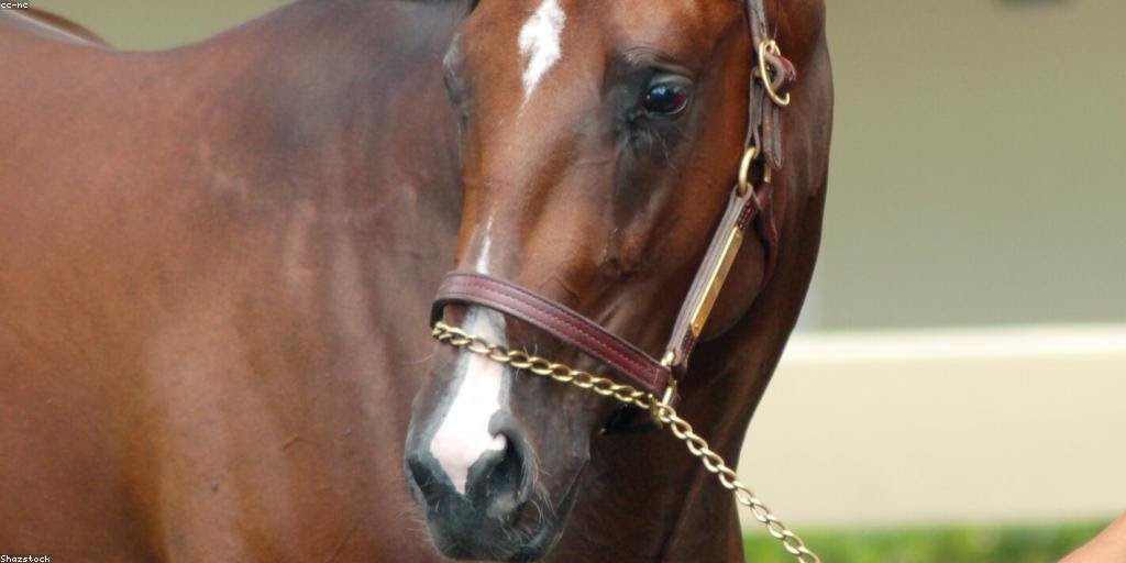 High Octane Racing 🔥🌹 tweet media