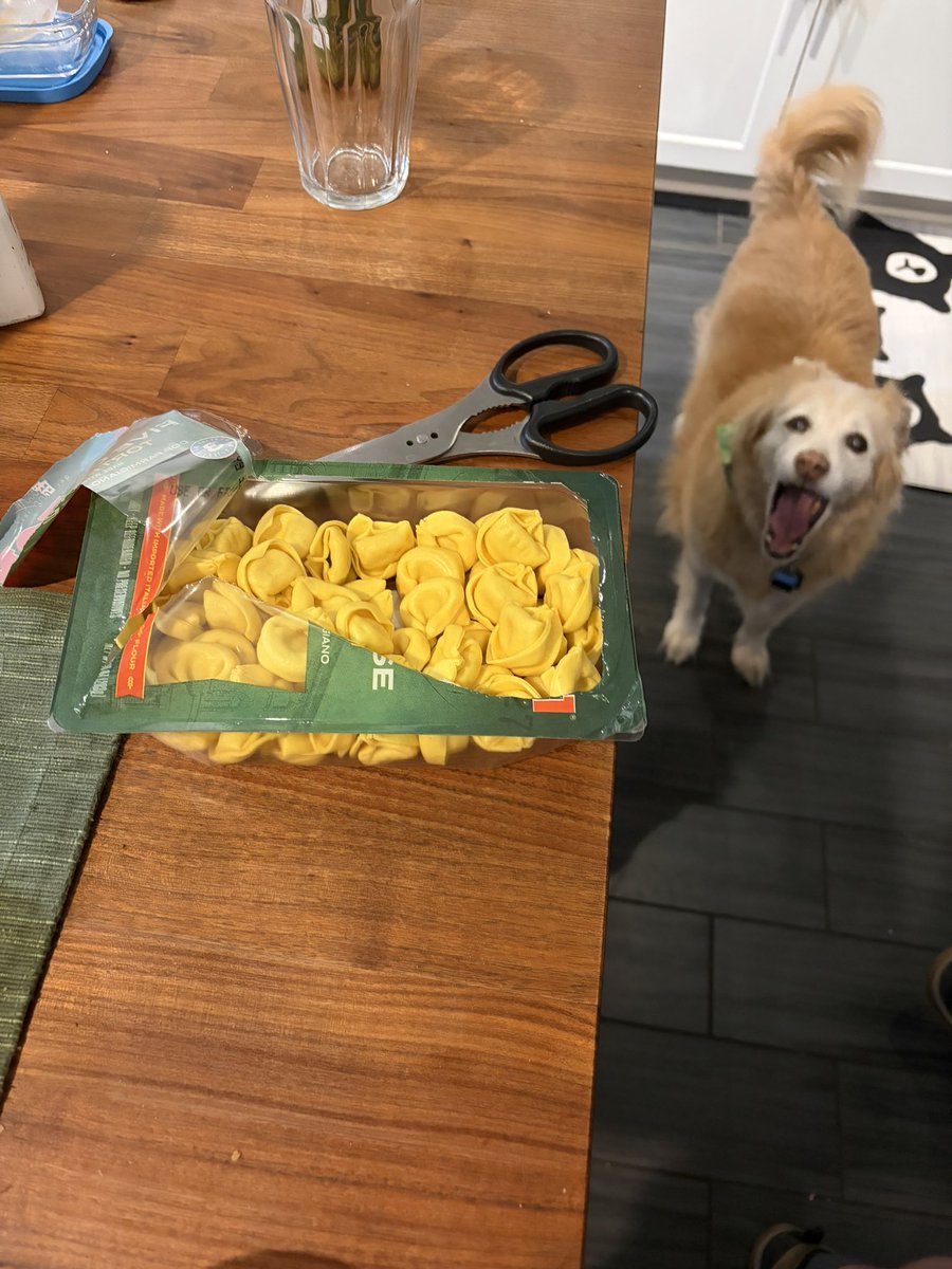 Ly ˚˖𓍢ִ🌷˚. tweet media