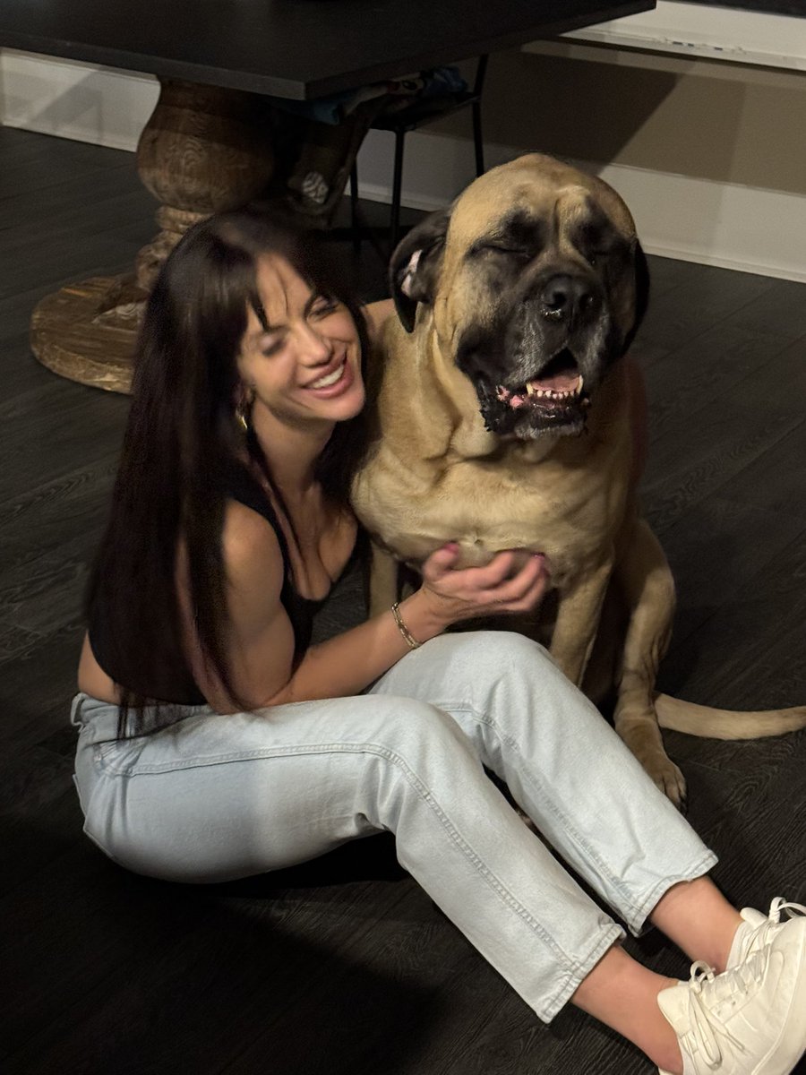 Gothalion tweet media