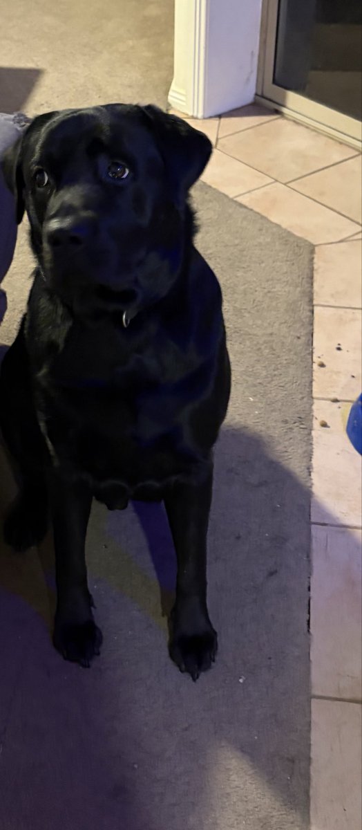 Ian Graves. Neuro Detergent. 🚫Orange Testicle tweet media