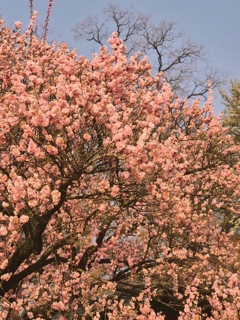 딩딩˖˚ ͙ෆ tweet media