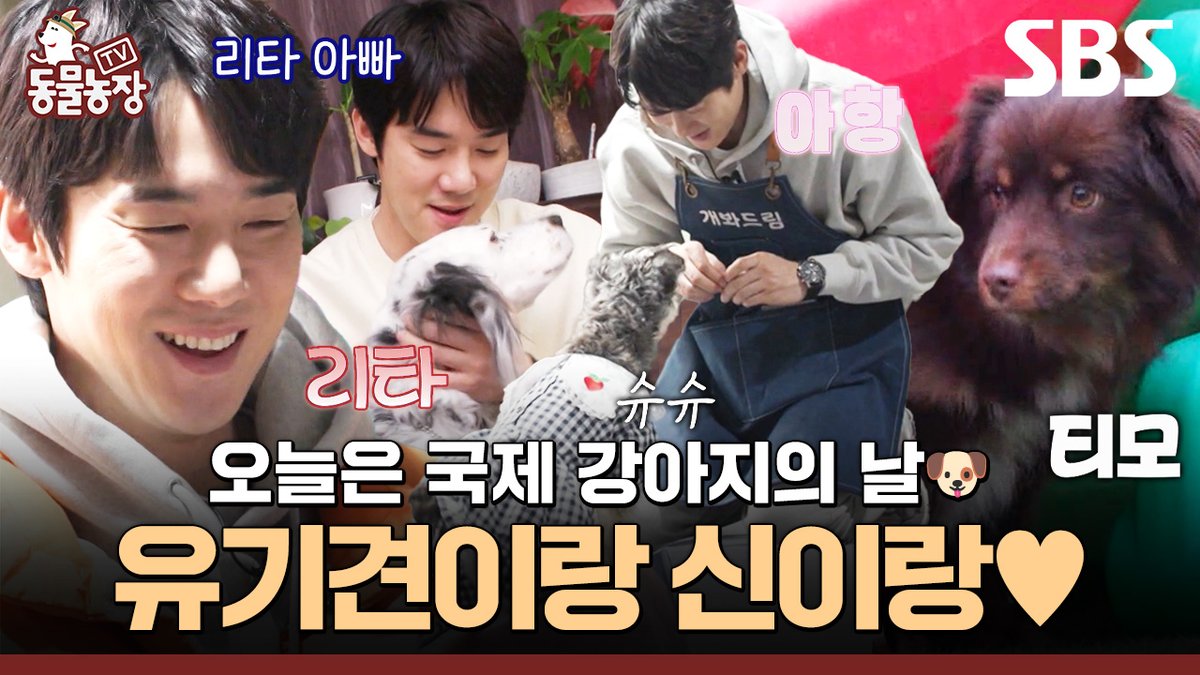 🐶국제 가나디의 날 기념🐶 
리타 아빠 유연석의 유기견 보호소 체험기♥️

영상 보러 가기
☞ youtu.be/Wa5ZeWfkGlA

SBS <TV 동물농장>
☞ [일] 오전 9시 30분

#SBS #TV동물농장 #AnimalFarm