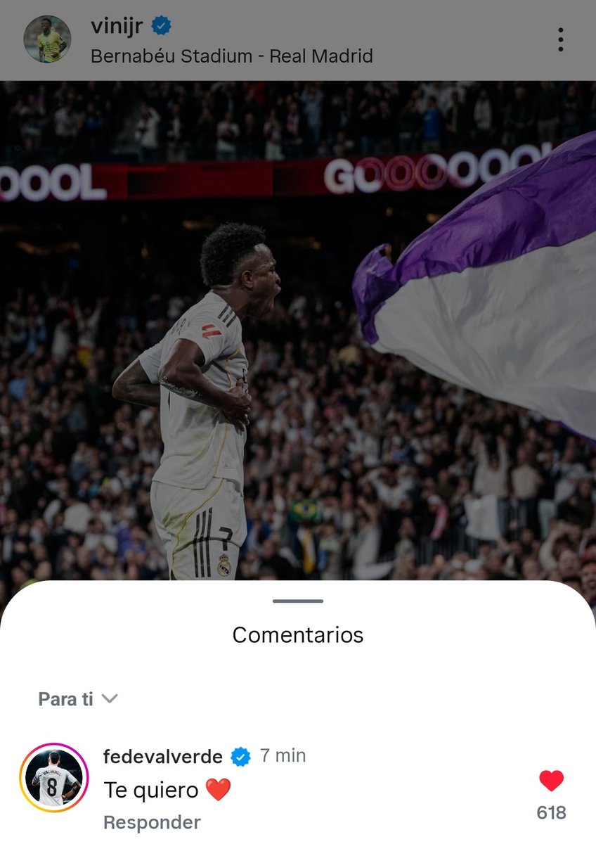 (fan) REAL MADRID FANS 🤍 tweet media