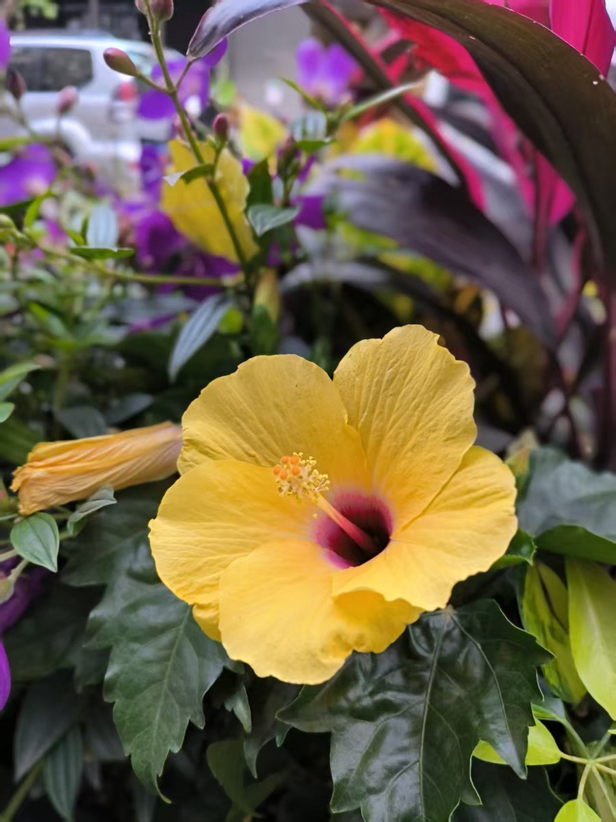 wdr2oversea tweet media