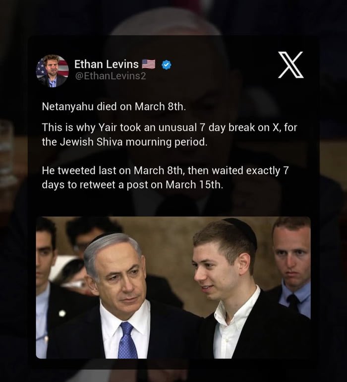 Caт Bee 🪶 tweet media