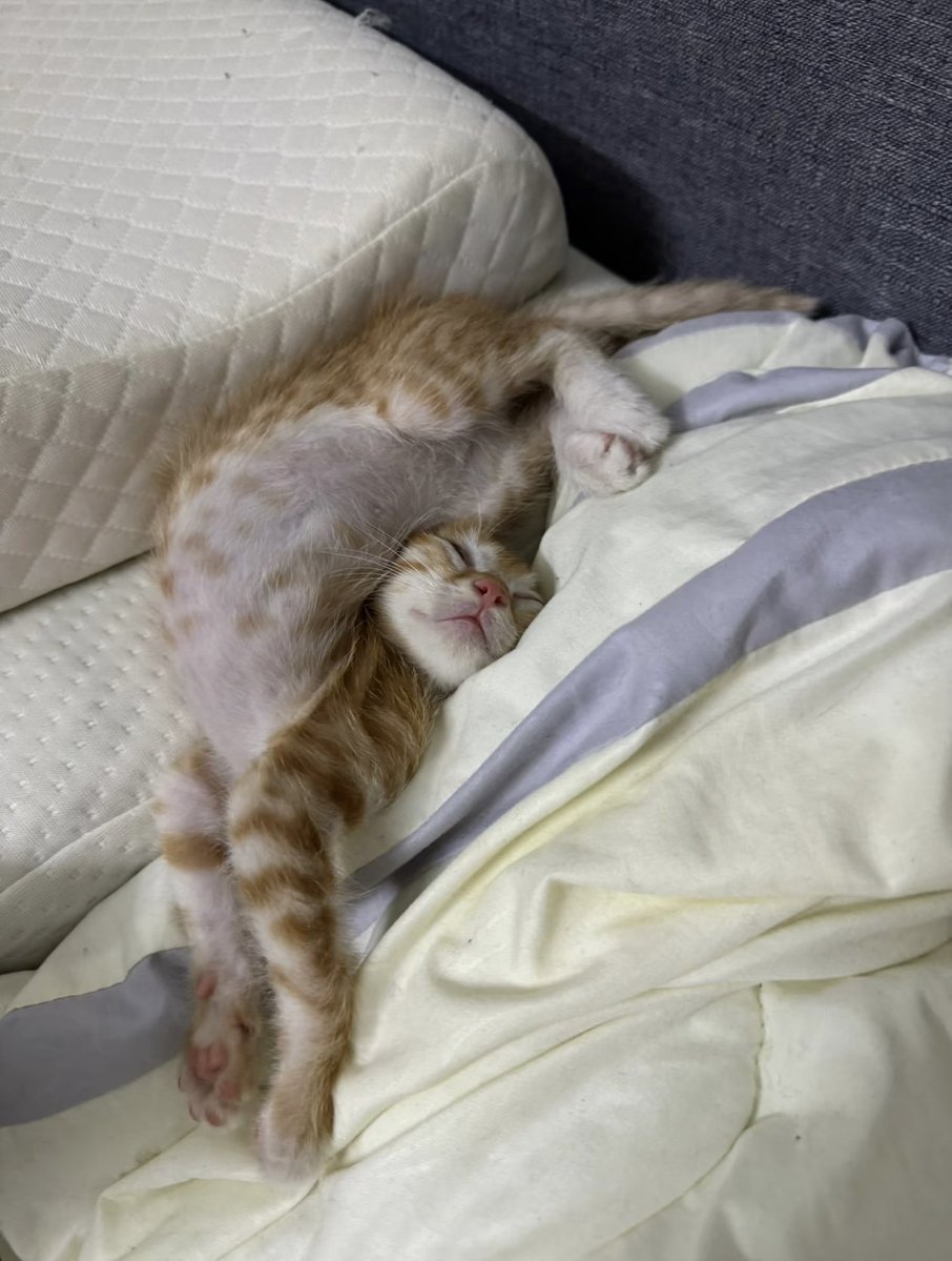 Kathleen tweet media