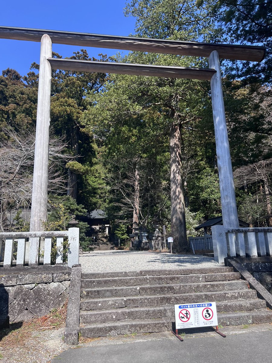 福田裕子（ふくだひろこ） tweet media