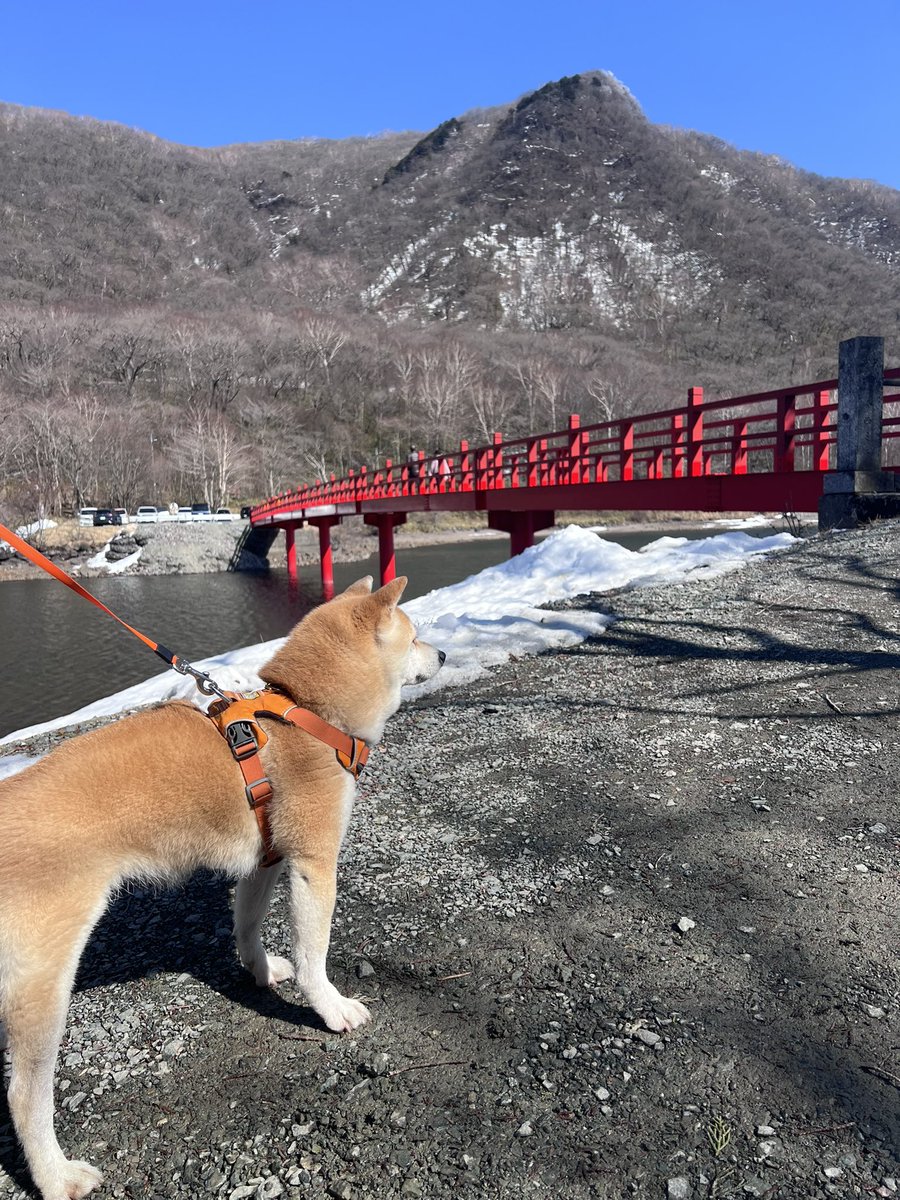 福田裕子（ふくだひろこ） tweet media