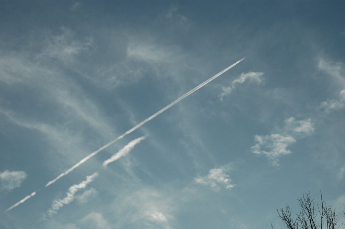 Wayne Goodfellow tweet media