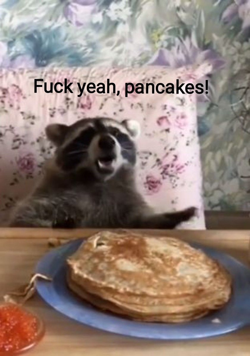 silly raccoons & pandas tweet media