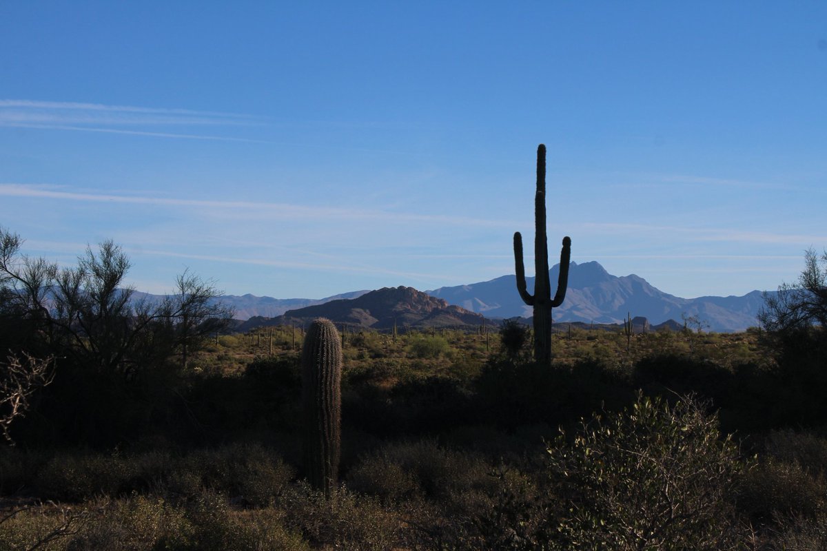 Jeremiah tweet media