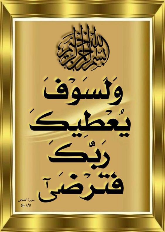 ミ💖𝔸𝕣𝕖𝕤𝕙 💖彡 tweet media