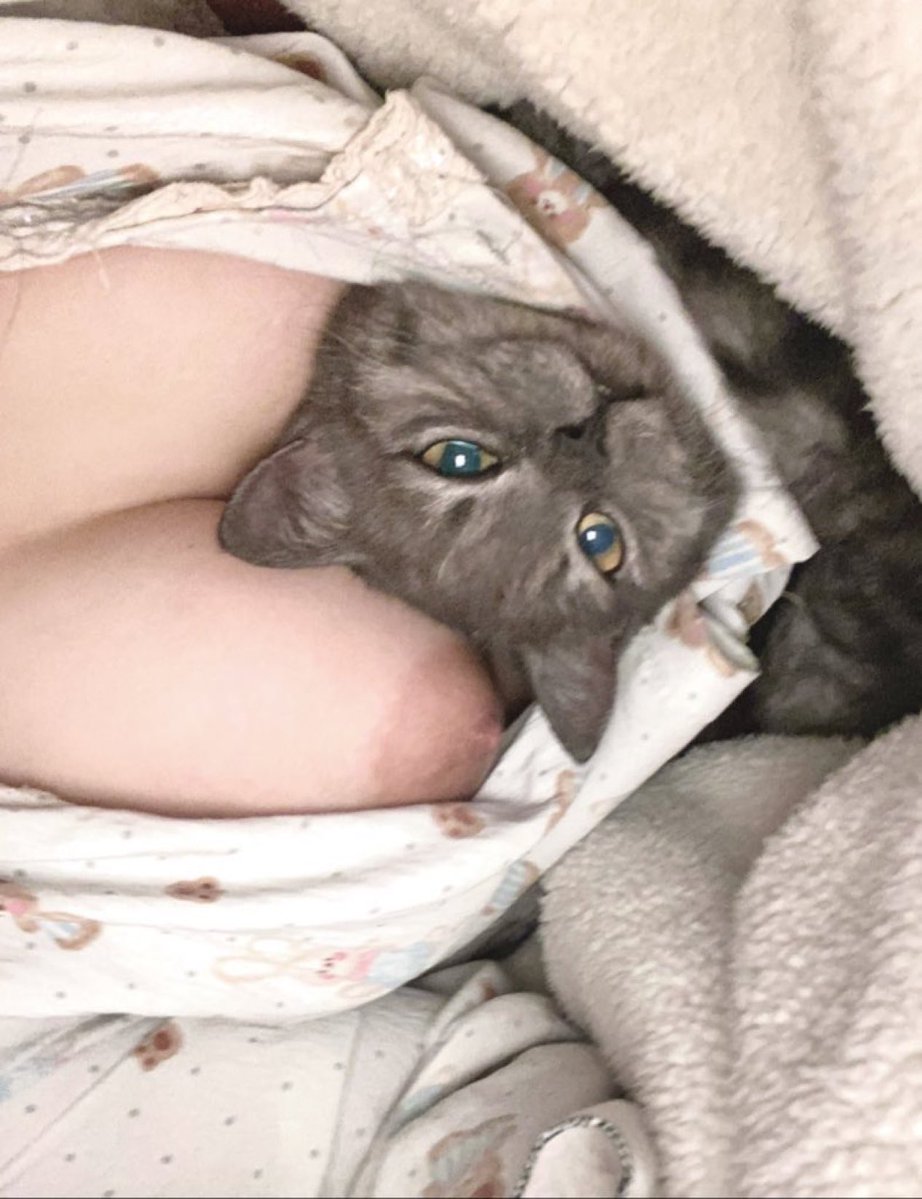 兔子🐰警官 tweet media